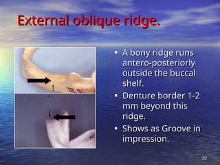 ANATOMICAL LANDMARKS of maxillary and mandibulat arches.ppt