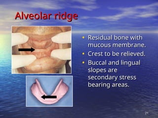 ANATOMICAL LANDMARKS of maxillary and mandibulat arches.ppt