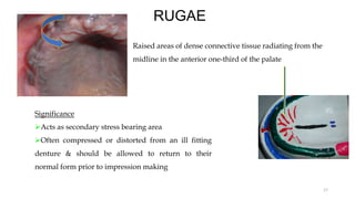RUGAE
Raised areas of dense connective tissue radiating from the
midline in the anterior one-third of the palate
17
Significance
Acts as secondary stress bearing area
Often compressed or distorted from an ill fitting
denture & should be allowed to return to their
normal form prior to impression making
 