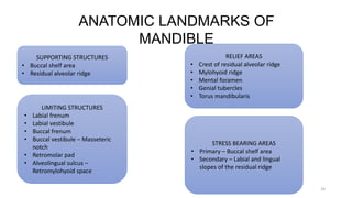 ANATOMIC LANDMARKS OF
MANDIBLE
24
SUPPORTING STRUCTURES
• Buccal shelf area
• Residual alveolar ridge
LIMITING STRUCTURES
• Labial frenum
• Labial vestibule
• Buccal frenum
• Buccal vestibule – Masseteric
notch
• Retromolar pad
• Alveolingual sulcus –
Retromylohyoid space
RELIEF AREAS
• Crest of residual alveolar ridge
• Mylohyoid ridge
• Mental foramen
• Genial tubercles
• Torus mandibularis
STRESS BEARING AREAS
• Primary – Buccal shelf area
• Secondary – Labial and lingual
slopes of the residual ridge
 