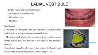 LABIAL VESTIBULE
It is the sulcus between the frenum's
The major muscle in this area
Orbicularis oris
Mentalis
25
Significance
The fibers of Orbicularis oris are horizontal, careful border
molding done it avoid overextension of denture
 Mentalis muscle due to its excessive activity results in short
flange which may not provide a real seal for the finished
denture
Labial and buccal borders are not as critical for border seal
because the drape of lips & cheeks create a facial seal
 
