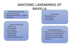 ANATOMIC LANDMARKS OF
MAXILLA
3
SUPPORTING STRUCTURES
• Hard palate – Rugae
• Residual alveolar ridge – maxillary
tuberosity
LIMITING STRUCTURES
• Labial frenum
• Labial vestibule
• Buccal frenum
• Buccal vestibule
• Hamular notch
• Fovea palatine
• Posterior palatal seal area
RELIEF AREAS
• Midpalatine suture
• Incisive papilla
• Torus palatinus
STRESS BEARING AREAS
• Primary – Horizontal slopes of hard
palate lateral to median sutures
• Secondary – Crest of residual
alveolar ridge, Rugae, Maxillary
tuberosity
 
