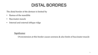 DISTAL BORDRES
The distal border of the denture is limited by
• Ramus of the mandible
• Buccinator muscle
• Internal and external oblique ridge
Significance
Overextension at this border causes soreness & also limits of buccinator muscle
35
 