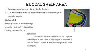 BUCCAL SHELF AREA
• Primary area of support of mandibular denture
• It is between the mandibular buccal frenum & anterior edge of
masseter muscle
It is bounded
Medially – crest of alveolar ridge
Laterally – external oblique ridge
Distally – retromolar pad
36
Significance
Bone of the buccal shelf is covered by a layer of
cortical bone & also it lies at right angles to the vertical
occlusal forces , makes it most suitable primary stress
bearing area
 