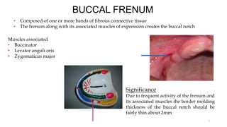 BUCCAL FRENUM
• Composed of one or more bands of fibrous connective tissue
• The frenum along with its associated muscles of expression creates the buccal notch
Muscles associated
• Buccinator
• Levator anguli oris
• Zygomaticus major
7
Significance
Due to frequent activity of the frenum and
its associated muscles the border molding
thickness of the buccal notch should be
fairly thin about 2mm
 