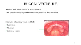 BUCCAL VESTIBULE
Extends from buccal frenum to hamular notch
This space is usually higher than any other part of the denture border
Structures influencing buccal vestibule
Buccinator
Masseter
Coronoid process
8
 