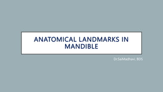 ANATOMICAL LANDMARKS IN
MANDIBLE
Dr.SaiMadhavi, BDS
 
