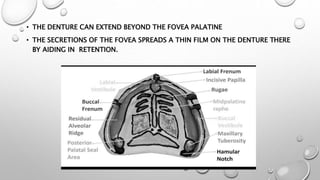 • THE DENTURE CAN EXTEND BEYOND THE FOVEA PALATINE
• THE SECRETIONS OF THE FOVEA SPREADS A THIN FILM ON THE DENTURE THERE
BY AIDING IN RETENTION.
 