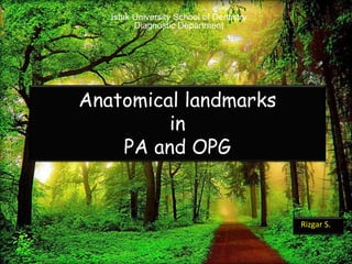 Anatomical landmarks
in
PA and OPG
Rizgar S.
Ishık University School of Dentistry
Diagnostic Department
1
 