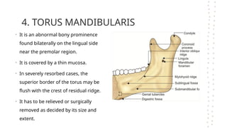 anatomical Landmarks in the mandible.pptx