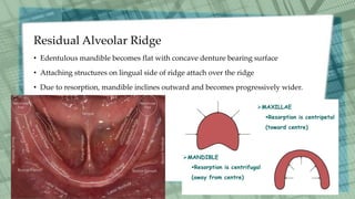 Anatomical landmarks of mandible | PDF