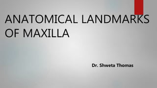 ANATOMICAL LANDMARKS
OF MAXILLA
Dr. Shweta Thomas
 