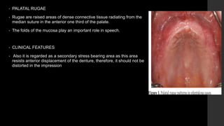 Radial Rugae Pattern ANATOMICAL LANDMARKS OF MAXILLA AND MANDIBLE.pptx