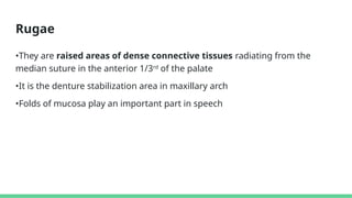 Anatomical landmarks of maxilla and mandible.pptx
