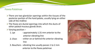 Fovea Palatinae
 There are two glandular openings within the tissues of the
posterior portion of the hard palate, usually lying on either
side of the midline
 The fovea are ductal openings into which the ducts of
other palatal mucous glands drain.
 Varying position –
1. Lye - approximately 1.31 mm anterior to the
anterior vibrating line
- either on or behind the anterior vibrating
line
2. Chen
3. Bouchers - vibrating line usually passes 1 to 2 mm
anterior to the fovea palatinae
 