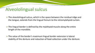 Alveololingual sulcus
 The alveololingual sulcus, which is the space between the residual ridge and
the tongue, extends from the lingual frenum to the retromylohyoid curtain.
 The lingual border is defined by the mylohyoid muscle along the entire
length of the mandible.
 The value of the border’s maximum lingual border extension is lateral
stability of the denture and reduction of food collection under the denture.
 