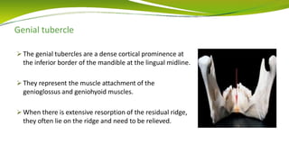 Genial tubercle
 The genial tubercles are a dense cortical prominence at
the inferior border of the mandible at the lingual midline.
 They represent the muscle attachment of the
genioglossus and geniohyoid muscles.
 When there is extensive resorption of the residual ridge,
they often lie on the ridge and need to be relieved.
 