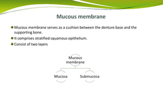 Mucous membrane
⚫Mucous membrane serves as a cushion between the denture base and the
supporting bone.
⚫It comprises stratified squamous epithelium.
⚫Consist of two layers
 