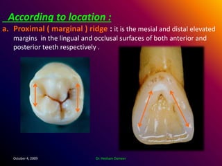 Anatomical landmarks of the crown | PPTX