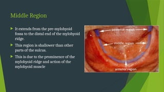 Midline Ridge Muscle anatomical landmarks dentsl pedagogy.pptx