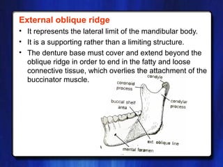 Obliuqe Ridge ANATOMICAL LANDMARKS RELATED TO COMPLETE DENTURES1.ppt