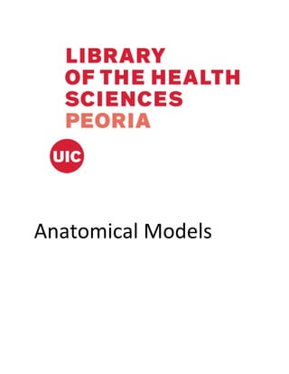 Anatomical	Models	
	 	
 
