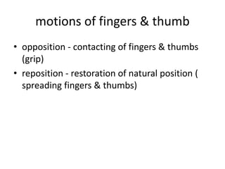 motions of fingers & thumb
• opposition - contacting of fingers & thumbs
(grip)
• reposition - restoration of natural position (
spreading fingers & thumbs)
 