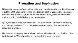 Pronation Supination Medical Term Hand Movement Outline Diagram
