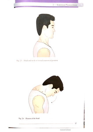 Anatomical Movements Biology Diagrams