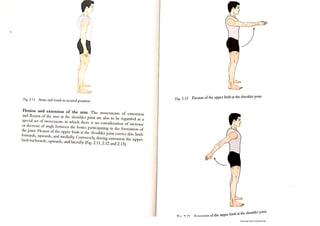 Anatomical Movements Pdf