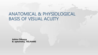 ANATOMICAL & PHYSIOLOGICAL
BASIS OF VISUAL ACUITY
Ashim Chhusya
B. optometry, TIO,NAMS
 
