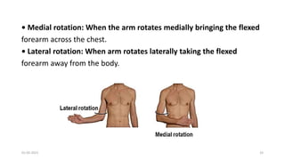 Medial Rotation Lateral Rotation Anatomical planes ppt | PPTX