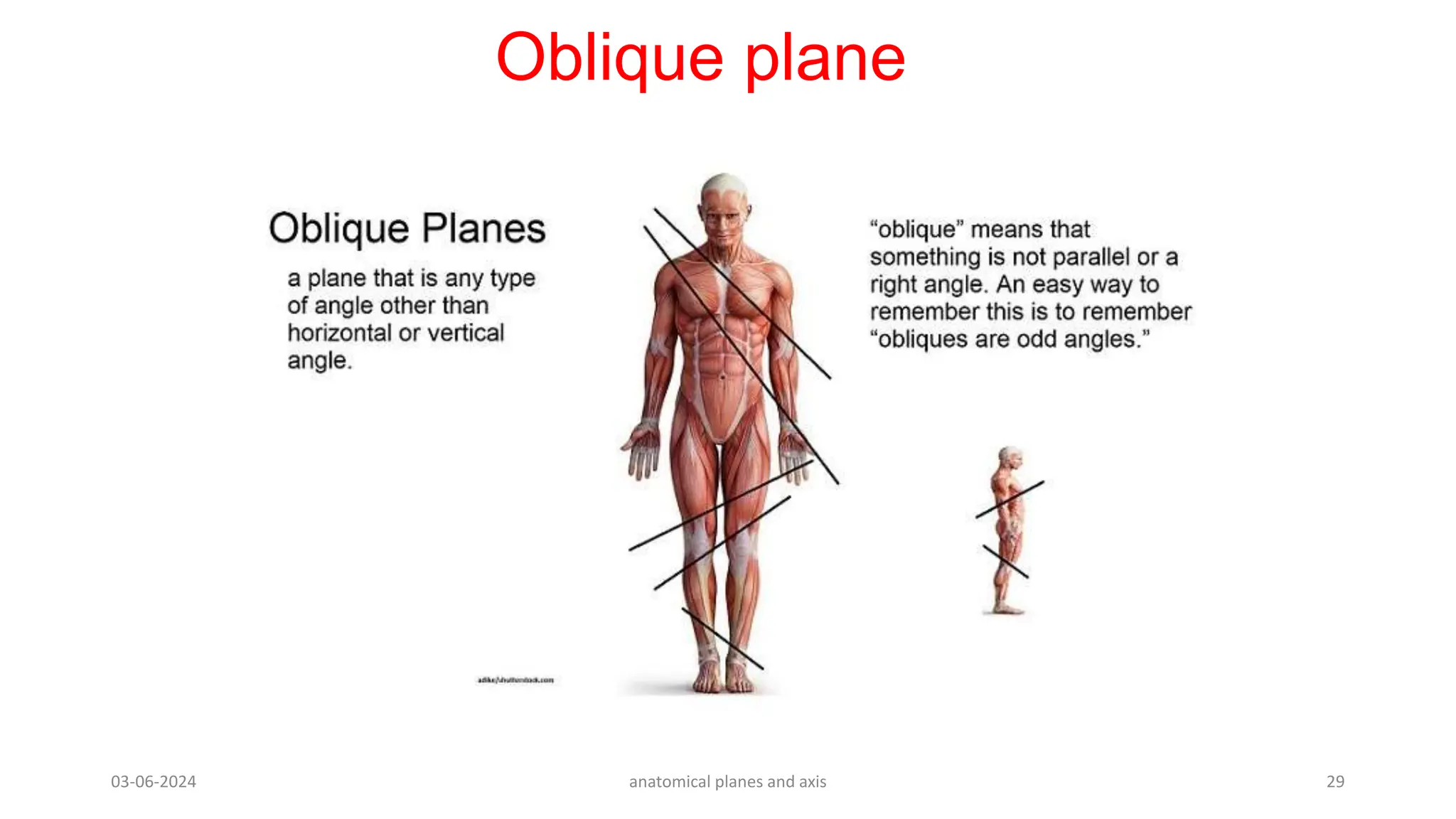 Anatomical Plane and axis - general anatomy | PPT | Free Download
