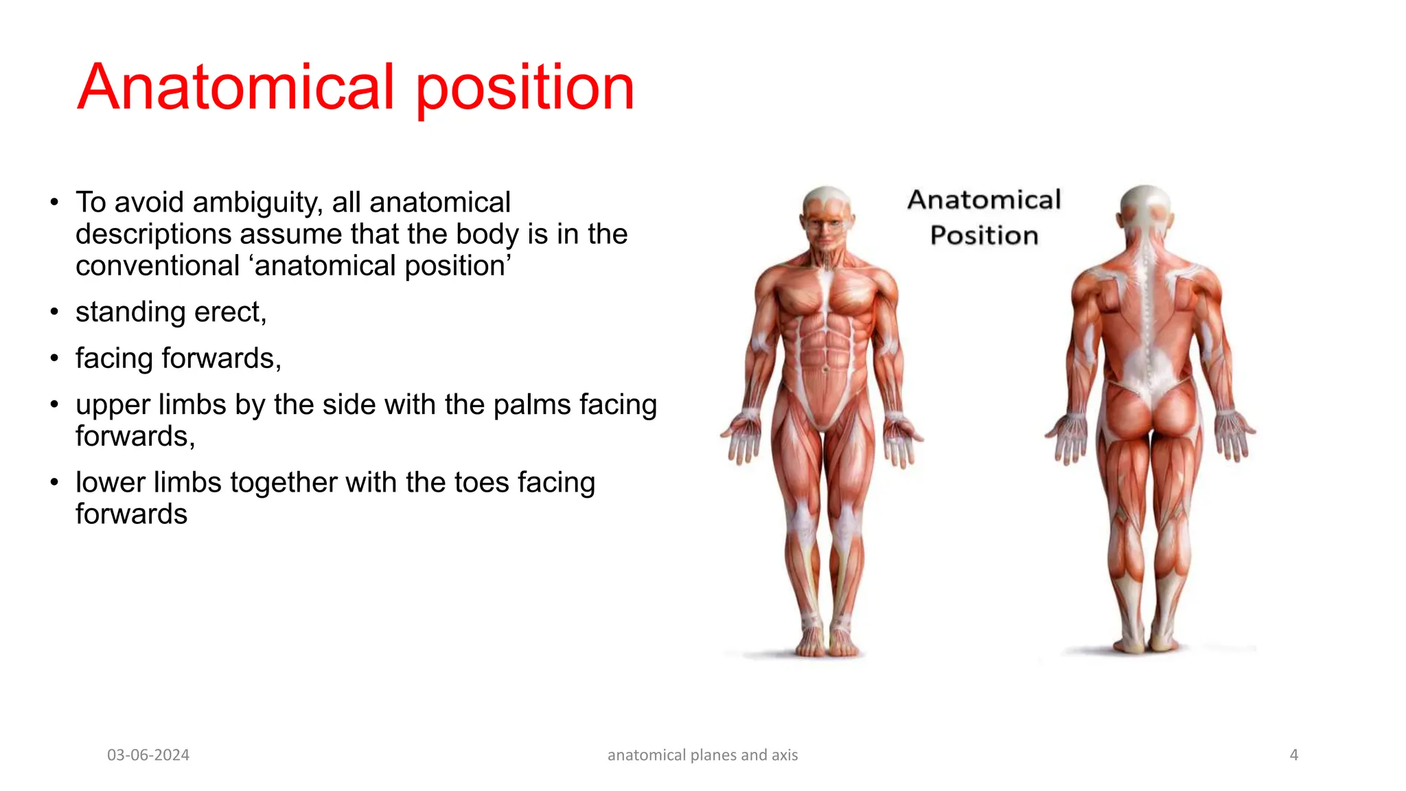 Anatomical Plane and axis - general anatomy | PPT | Free Download