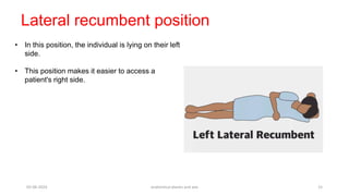 Anatomical Plane and axis - general anatomy | PPTX