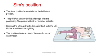 Anatomical Plane and axis - general anatomy | PPTX