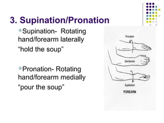 Anatomical position.ppt (1) | PPT