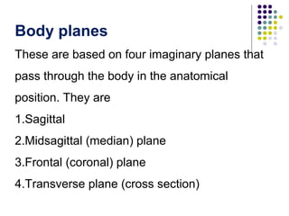 Anatomical position.ppt (1)