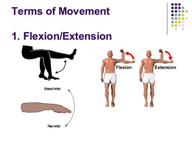abduction adduction