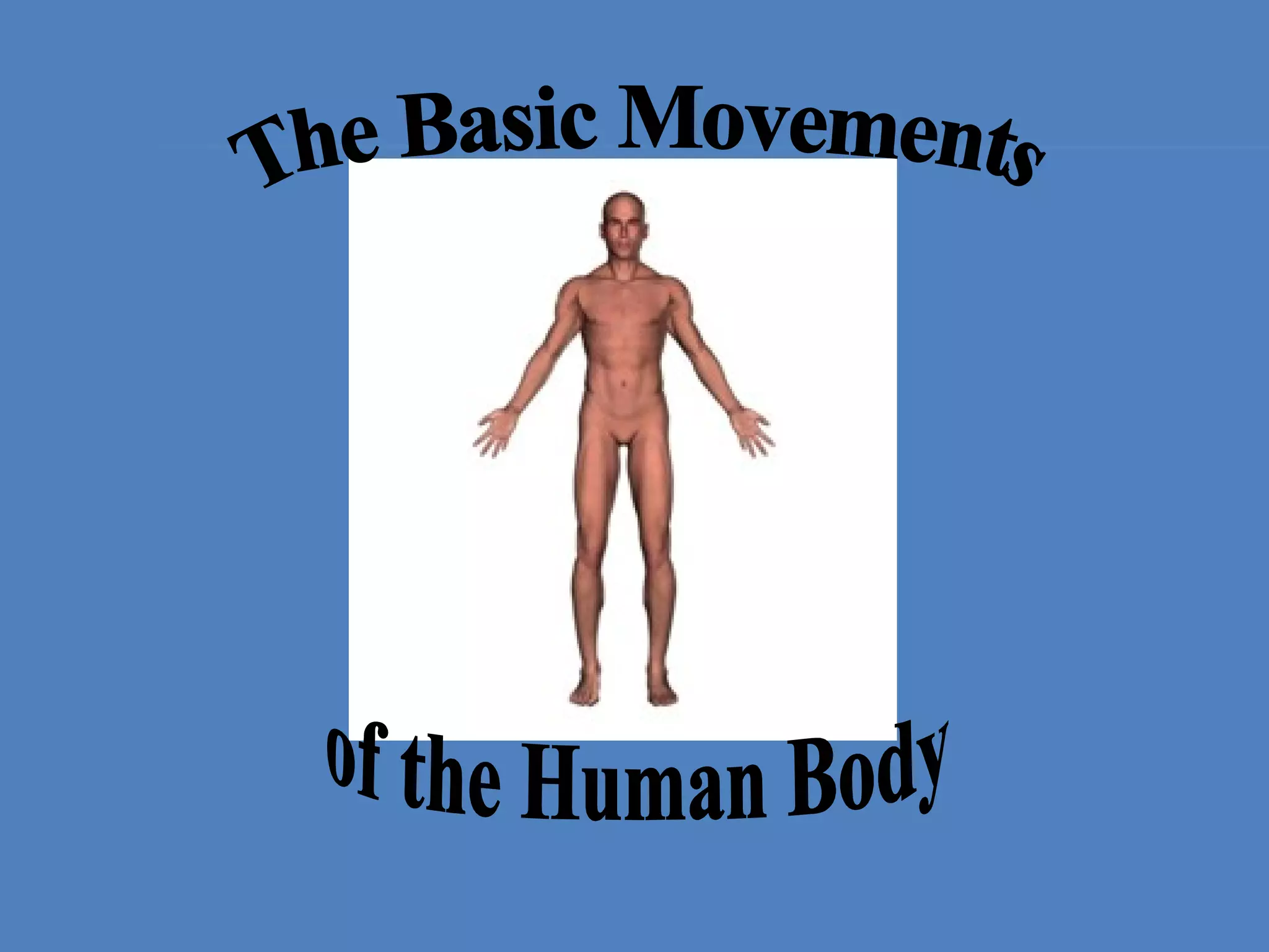 Anatomical Position and Basic Movements | PPT