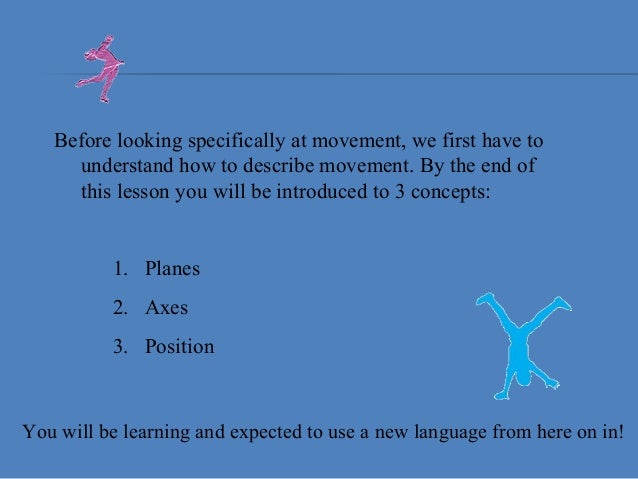 Anatomical Position and Basic Movements