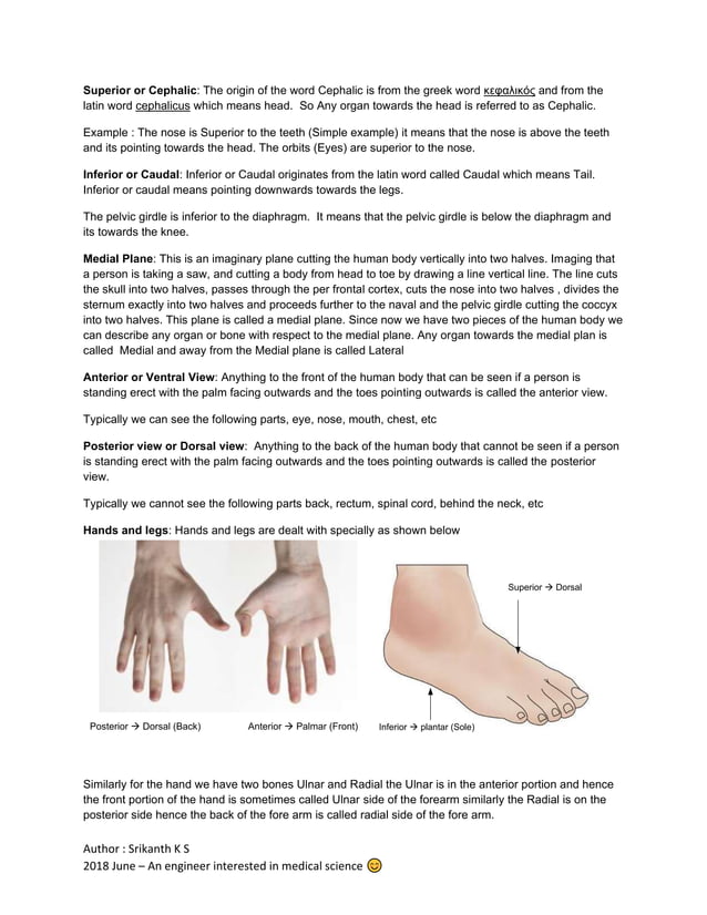 Anatomical positions and examples