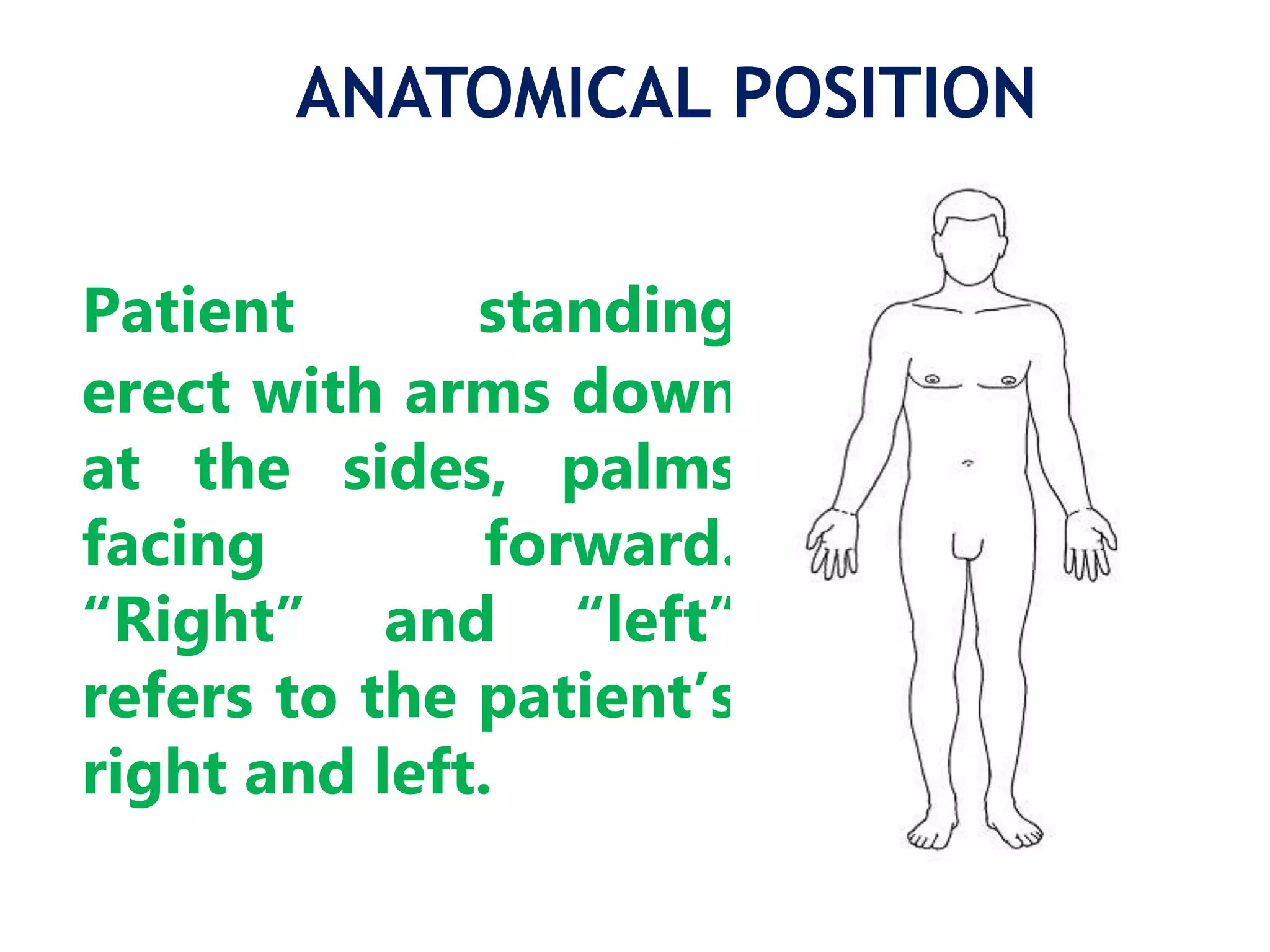 Anatomical reference-1.pptx