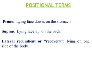 Anatomical reference-1.pptx