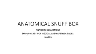 ANATOMICAL SNUFF BOX
ANATOMY DEPARTMENT
EKO UNIVERSITY OF MEDICAL AND HEALTH SCIENCES.
IJANIKIN
 