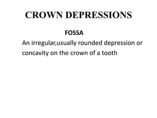 CROWN DEPRESSIONS
FOSSA
An irregular,usually rounded depression or
concavity on the crown of a tooth
 