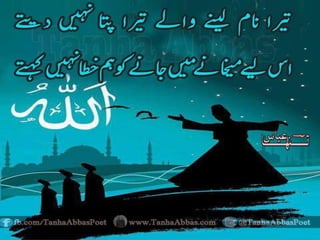 Anatomical structures of teeth