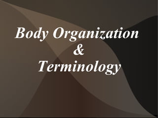 Body Organization  & Terminology 