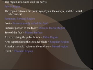 The region associated with the pelvis Pelvic Region The region between the pubic symphysis, the coccyx, and the ischial tuberosities? Perineum, Perineal Region Foot =  Pes (commonly called the foot) Superior portion of the foot =  Dorsum, Dorsal Region Sole of the foot =  Plantar Surface Area overlying the pubic bones =  Pubic Region Area superficial to the shoulder blade =  Scapular Region Anterior thoracic region on the midline =  Sternal region Chest =  Thoracic Region 