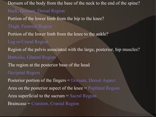 Dorsum of the body from the base of the neck to the end of the spine? Back, Dorsum, Dorsal Region Portion of the lower limb from the hip to the knee? Thigh, Femoral Region Portion of the lower limb from the knee to the ankle? Leg or Crural Region Region of the pelvis associated with the large, posterior, hip muscles? Buttocks, Gluteal Region The region at the posterior base of the head Occipital Region Posterior portion of the fingers =  Dorsum, Dorsal Aspect Area on the posterior aspect of the knee =  Popliteal Region Area superficial to the sacrum =  Sacral Region Braincase =  Cranium, Cranial Region 